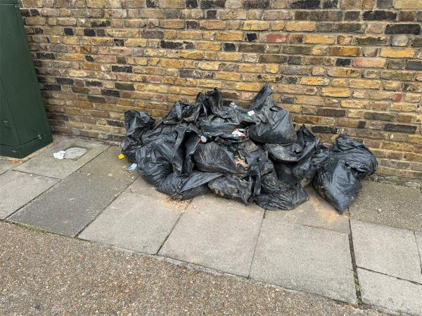Mass dumping of black bag waste-10 Dyson Road, Stratford, London, E15 4JX