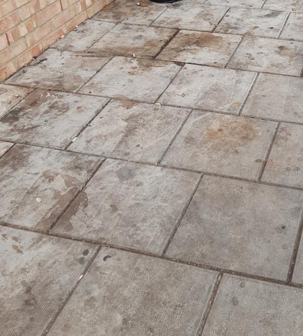 Urine spillage and smell in the same spot-97A, Harold Road, Upton Park, London, E13 0SG