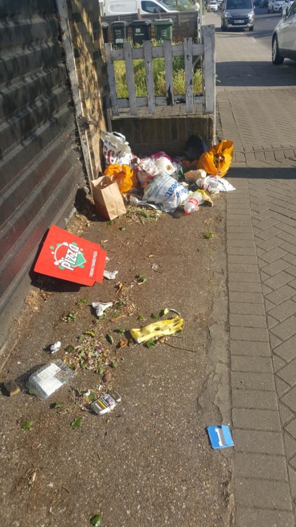 Third time I've reported this. Clean it please.-St Kevernes House, Cranston Road, Forest Hill, London, SE23 2HB