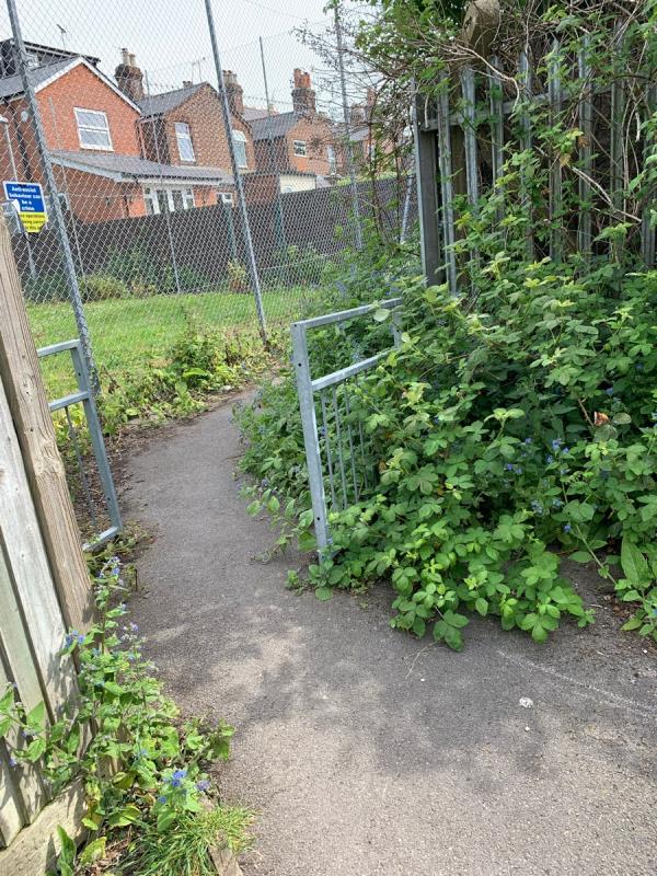 The weeds around this walkway by school playground fence is very overgrown and makes it difficult to walk to get to Waterloo Rise. We have seen rats darting in to the overgrown vegetation as well, unfortunately we have noticed all around Reading streets are not well kept these days-70 Swainstone Road, Reading, RG2 0DX