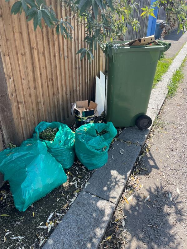 Fly tipping & overflowing bin -28 Littlewood, Hither Green, London, SE13 6SD