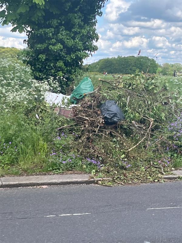 Green waste including plastic bags fly tipped on Wanstead Flats. Please note: As this is on the verge, it is the responsibility of LBN to remove. -50 Capel Road, Forest Gate, London, E7 0JP
