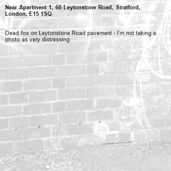 Dead fox on Leytonstone Road pavement - I’m not taking a photo as very distressing -Apartment 1, 60 Leytonstone Road, Stratford, London, E15 1SQ