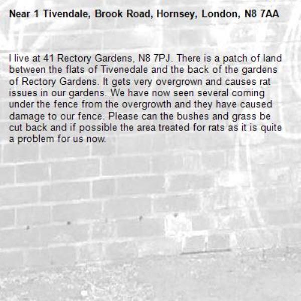 I live at 41 Rectory Gardens, N8 7PJ. There is a patch of land between the flats of Tivenedale and the back of the gardens of Rectory Gardens. It gets very overgrown and causes rat issues in our gardens. We have now seen several coming under the fence from the overgrowth and they have caused damage to our fence. Please can the bushes and grass be cut back and if possible the area treated for rats as it is quite a problem for us now. -1 Tivendale, Brook Road, Hornsey, London, N8 7AA