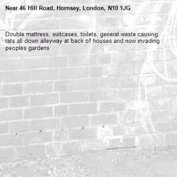 Double mattress, suitcases, toilets, general waste causing rats all down alleyway at back of houses and now invading peoples gardens -46 Hill Road, Hornsey, London, N10 1JG