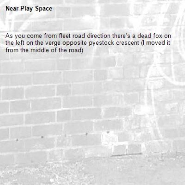 As you come from fleet road direction there’s a dead fox on the left on the verge opposite pyestock crescent (I moved it from the middle of the road)-Play Space