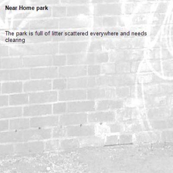 The park is full of litter scattered everywhere and needs clearing-Home park