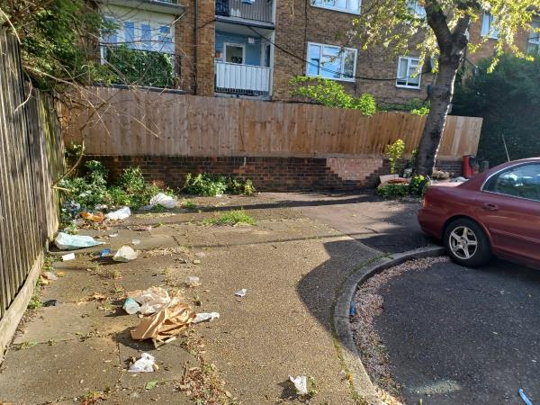 Street needs sweeping and clearing of dumped household item -11 Ayres Close, Plaistow, London, E13 8BN