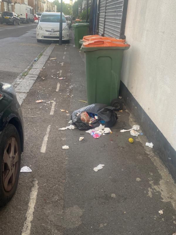 Bins in this area need sorting out. Always on public footpath and always have flytipping next to them. Rubbish blowing down the street. Mess always , footpath blocked-55a Field Road, London, E7 9DW