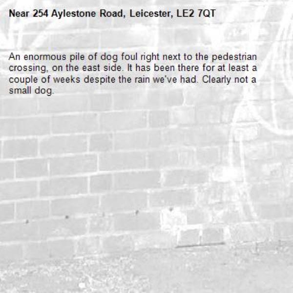 An enormous pile of dog foul right next to the pedestrian crossing, on the east side. It has been there for at least a couple of weeks despite the rain we've had. Clearly not a small dog. -254 Aylestone Road, Leicester, LE2 7QT