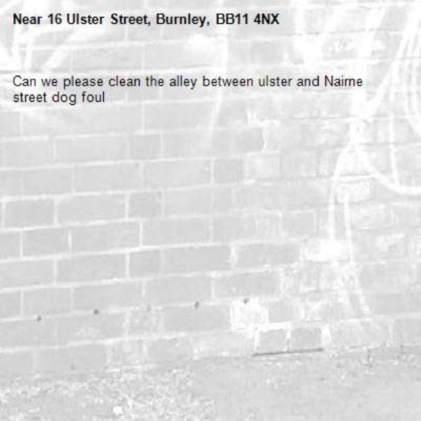 Can we please clean the alley between ulster and Nairne street dog foul -16 Ulster Street, Burnley, BB11 4NX