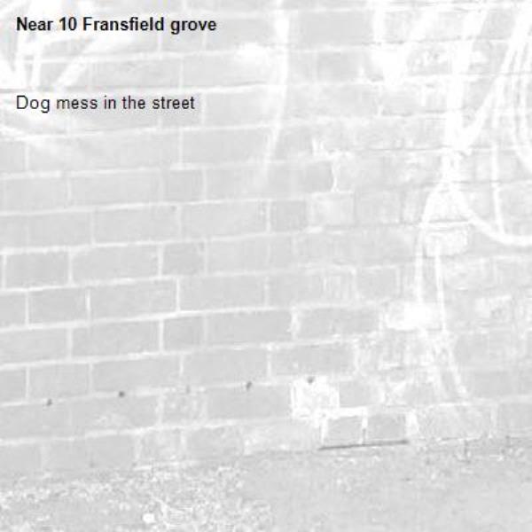 Dog mess in the street 

-10 Fransfield grove