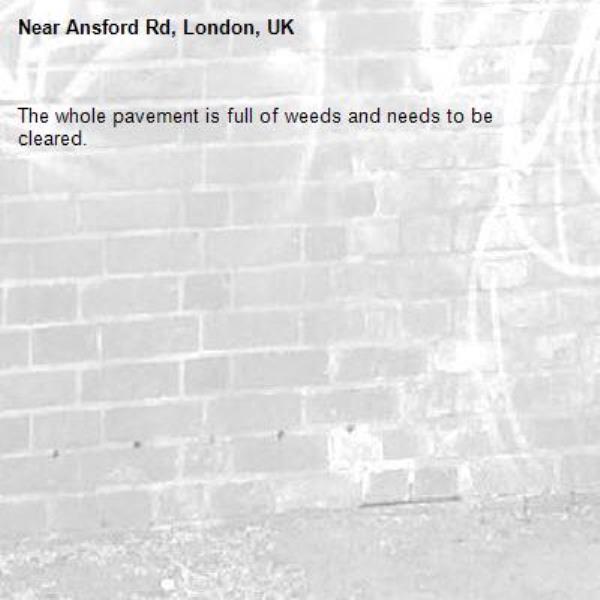 The whole pavement is full of weeds and needs to be cleared.-Ansford Rd, London, UK