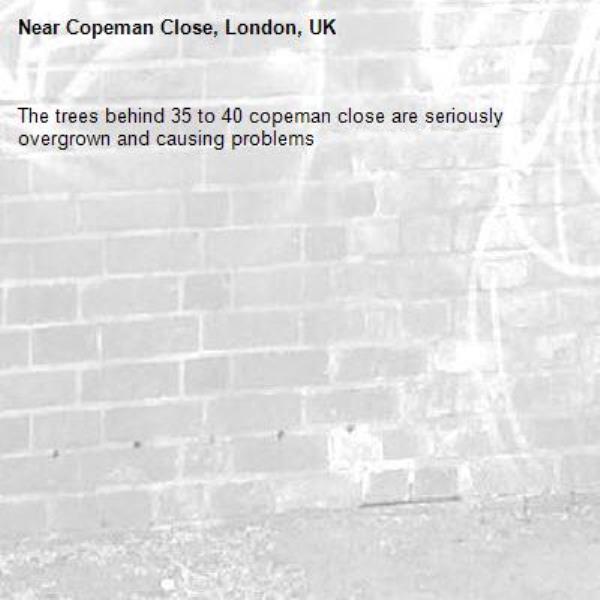 The trees behind 35 to 40 copeman close are seriously overgrown and causing problems-Copeman Close, London, UK