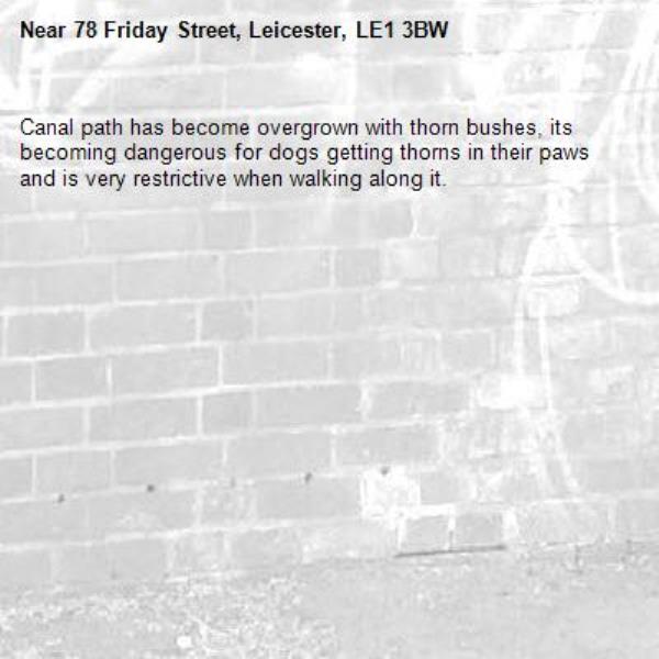Canal path has become overgrown with thorn bushes, its becoming dangerous for dogs getting thorns in their paws and is very restrictive when walking along it.-78 Friday Street, Leicester, LE1 3BW