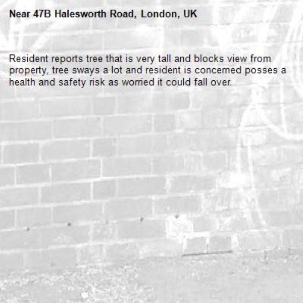 Resident reports tree that is very tall and blocks view from property, tree sways a lot and resident is concerned posses a health and safety risk as worried it could fall over.  -47B Halesworth Road, London, UK