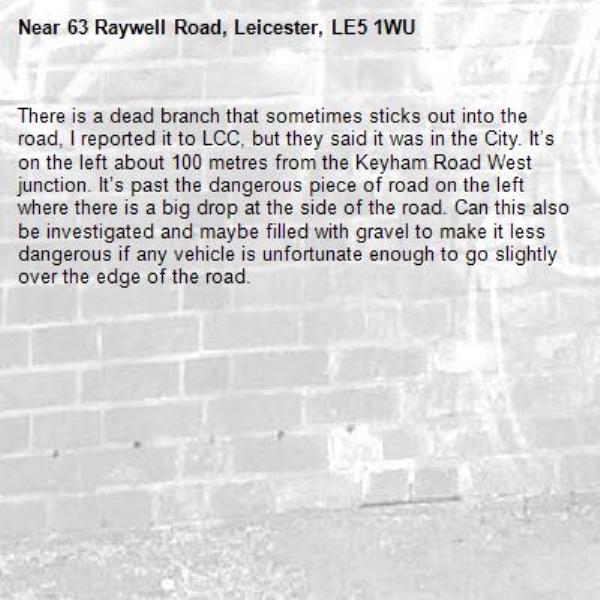 There is a dead branch that sometimes sticks out into the road, I reported it to LCC, but they said it was in the City. It’s on the left about 100 metres from the Keyham Road West junction. It’s past the dangerous piece of road on the left where there is a big drop at the side of the road. Can this also be investigated and maybe filled with gravel to make it less dangerous if any vehicle is unfortunate enough to go slightly over the edge of the road.-63 Raywell Road, Leicester, LE5 1WU