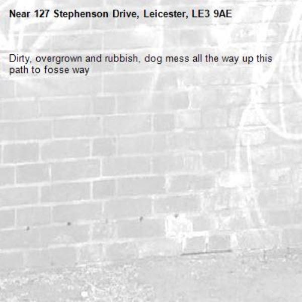 Dirty, overgrown and rubbish, dog mess all the way up this path to fosse way-127 Stephenson Drive, Leicester, LE3 9AE