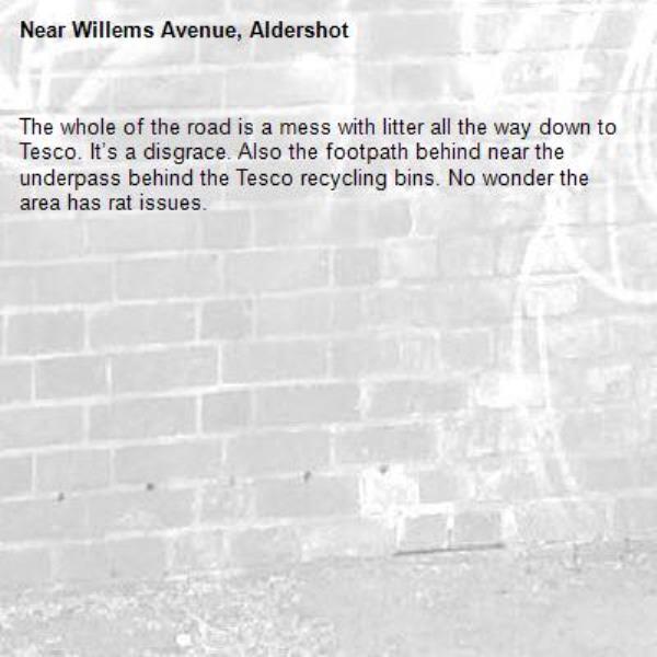 The whole of the road is a mess with litter all the way down to Tesco. It’s a disgrace. Also the footpath behind near the underpass behind the Tesco recycling bins. No wonder the area has rat issues.  -Willems Avenue, Aldershot