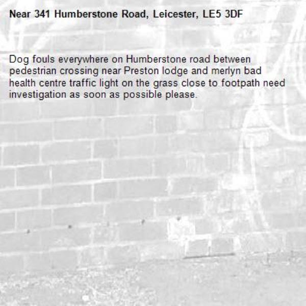 Dog fouls everywhere on Humberstone road between pedestrian crossing near Preston lodge and merlyn bad health centre traffic light on the grass close to footpath need investigation as soon as possible please. -341 Humberstone Road, Leicester, LE5 3DF