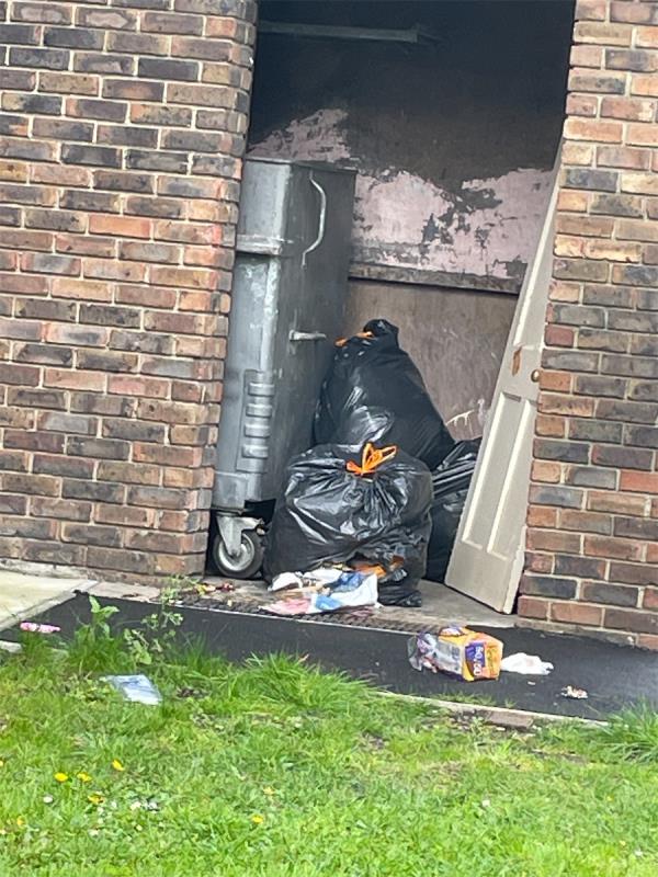 Someone has dumped household rubbish in black bags that foxes have ripped open and an old door dumped. This is the bin area for the flats residents only! Please remove asap! Thanks -14 Renfrew Close, Beckton, London, E6 5PG
