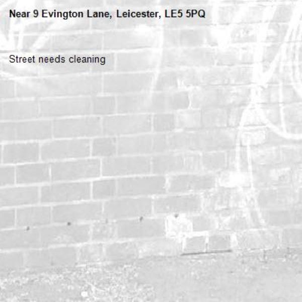 Street needs cleaning -9 Evington Lane, Leicester, LE5 5PQ