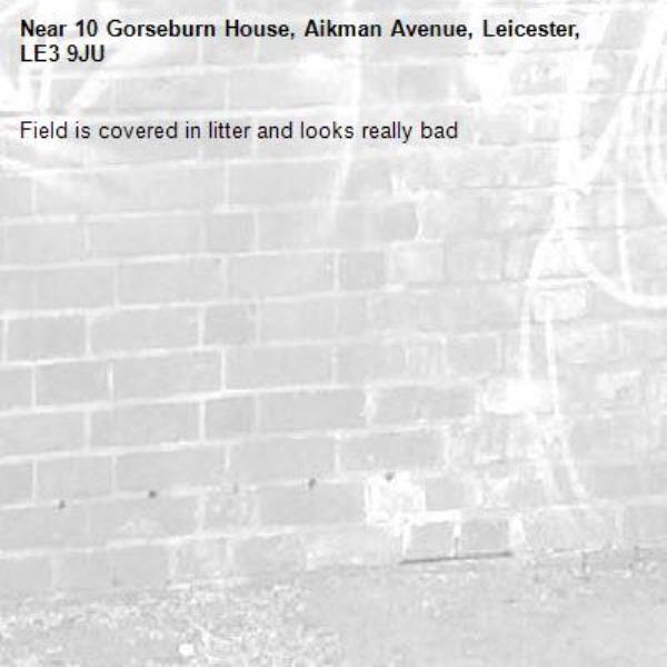 Field is covered in litter and looks really bad -10 Gorseburn House, Aikman Avenue, Leicester, LE3 9JU
