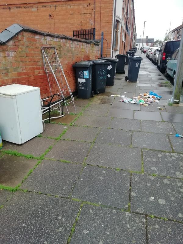 A fridge, bar style stool, drying frame and another frame, cooking oil can, have been dumped. Plus cats or foxes ripped open a rubbish bag -Ingle Street, Leicester