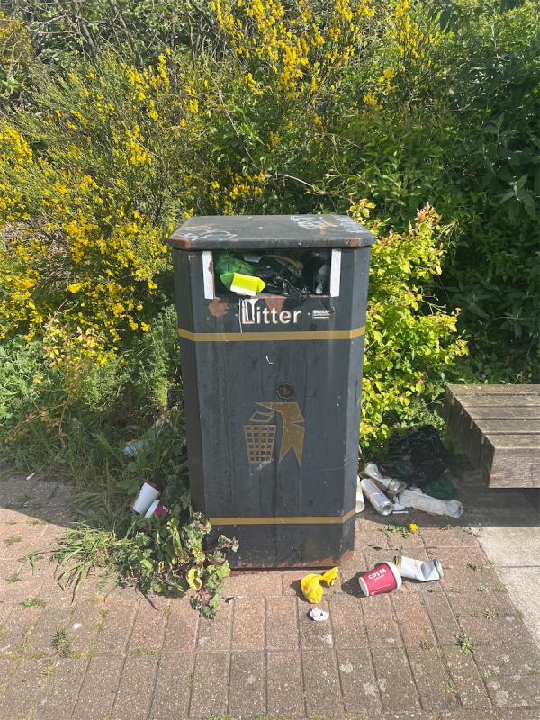 These bins have not been emptied in MONTHS. I have repeatedly reported this and nothing is done-Barking Road, Canning Town, London