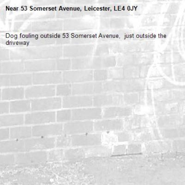 Dog fouling outside 53 Somerset Avenue,  just outside the driveway-53 Somerset Avenue, Leicester, LE4 0JY
