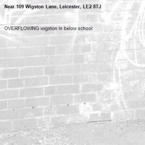 OVERFLOWING wigston ln below school-109 Wigston Lane, Leicester, LE2 8TJ