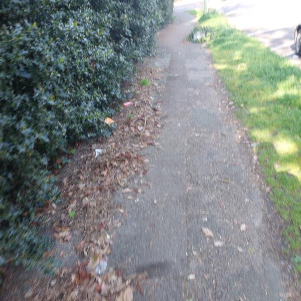 Someone has dumped gardening waste on the pavement-12 Church Road East, Farnborough, GU14 6QJ