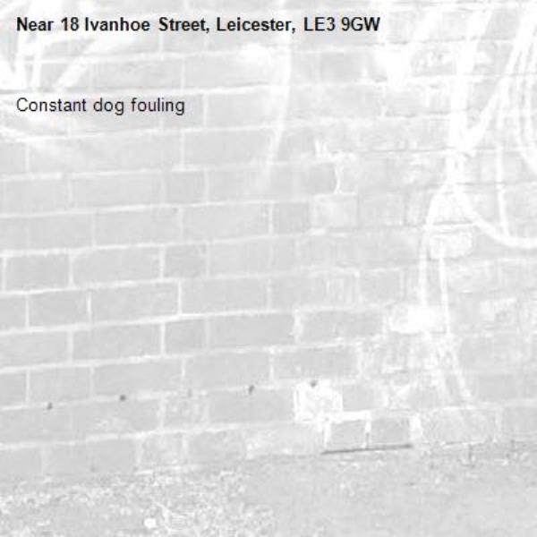 Constant dog fouling -18 Ivanhoe Street, Leicester, LE3 9GW