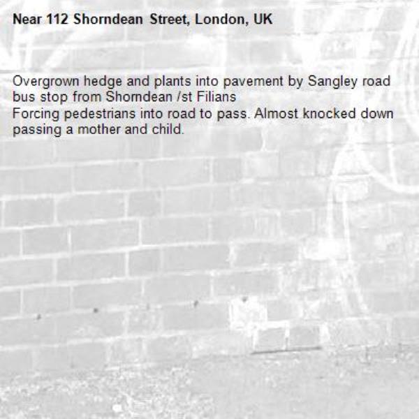 Overgrown hedge and plants into pavement by Sangley road bus stop from Shorndean /st Filians
Forcing pedestrians into road to pass. Almost knocked down passing a mother and child. 
-112 Shorndean Street, London, UK