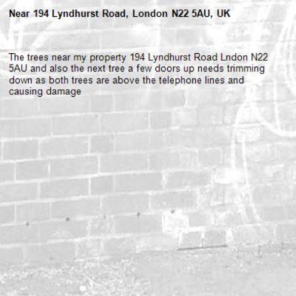 The trees near my property 194 Lyndhurst Road Lndon N22 5AU and also the next tree a few doors up needs trimming down as both trees are above the telephone lines and causing damage-194 Lyndhurst Road, London N22 5AU, UK