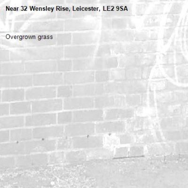 Overgrown grass-32 Wensley Rise, Leicester, LE2 9SA