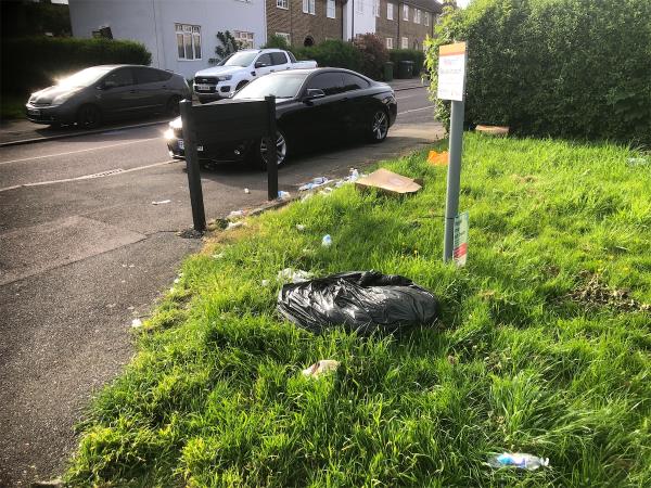 Junction of Shroffold Road. Please clear dumped bags from grass area-179 Capstone Road, Bromley, BR1 5NQ