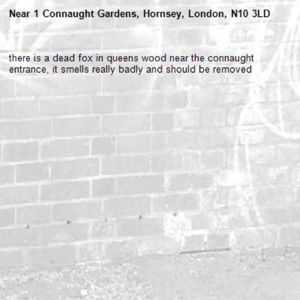 there is a dead fox in queens wood near the connaught entrance, it smells really badly and should be removed-1 Connaught Gardens, Hornsey, London, N10 3LD