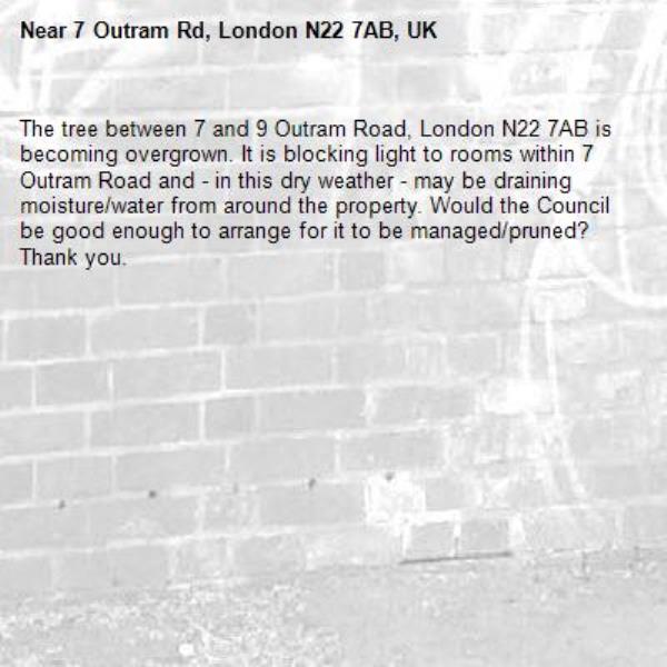 The tree between 7 and 9 Outram Road, London N22 7AB is becoming overgrown. It is blocking light to rooms within 7 Outram Road and - in this dry weather - may be draining moisture/water from around the property. Would the Council be good enough to arrange for it to be managed/pruned? Thank you.-7 Outram Rd, London N22 7AB, UK