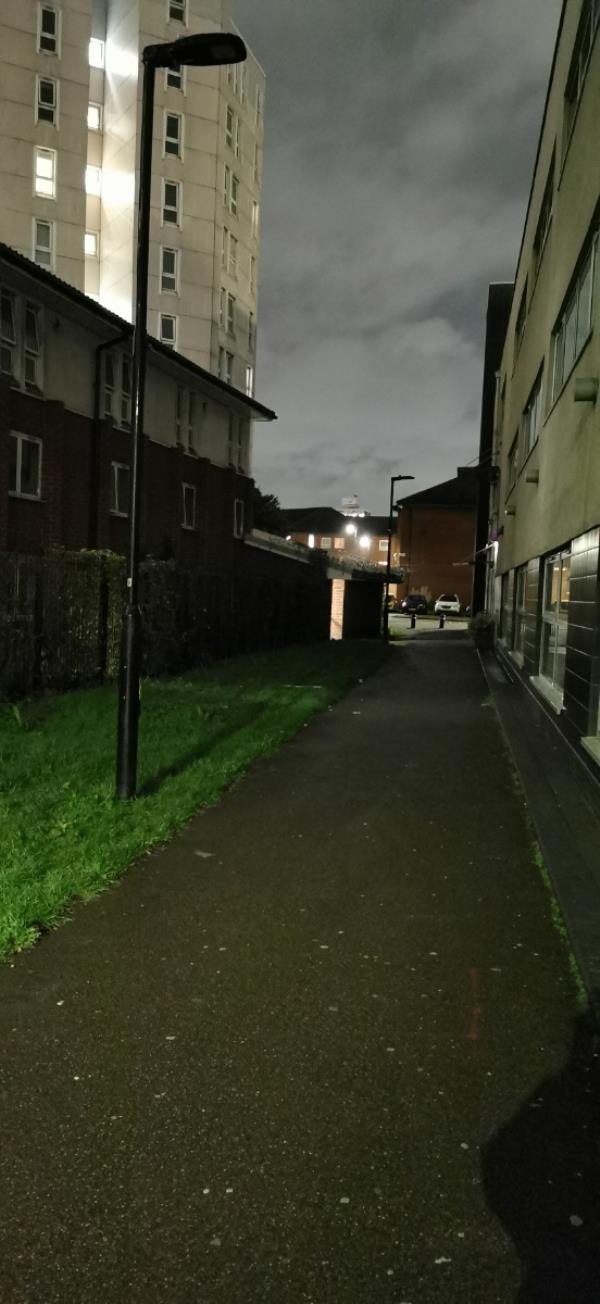 Both streetlights alongside
former Mark St. Nursery, have
been out of action for more 
than 6 months.
This is a frequently used alley
way and the lack of lighting 
is making it v. unsafe. 
Reported via Newham website
on 26th October but lights
still out as at 20th November. -Newham Training And Education Centre, Mark Street, Stratford, London, E15 4GY