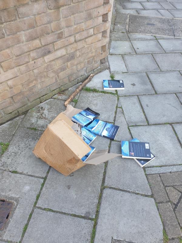 Boxes of books and gas canisters dumped on street -Flat A, 97 Reaston Street, London, SE14 5FS