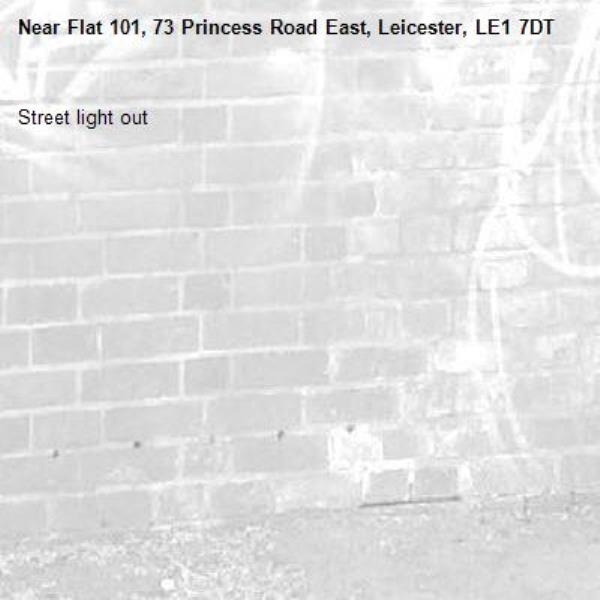 Street light out-Flat 101, 73 Princess Road East, Leicester, LE1 7DT