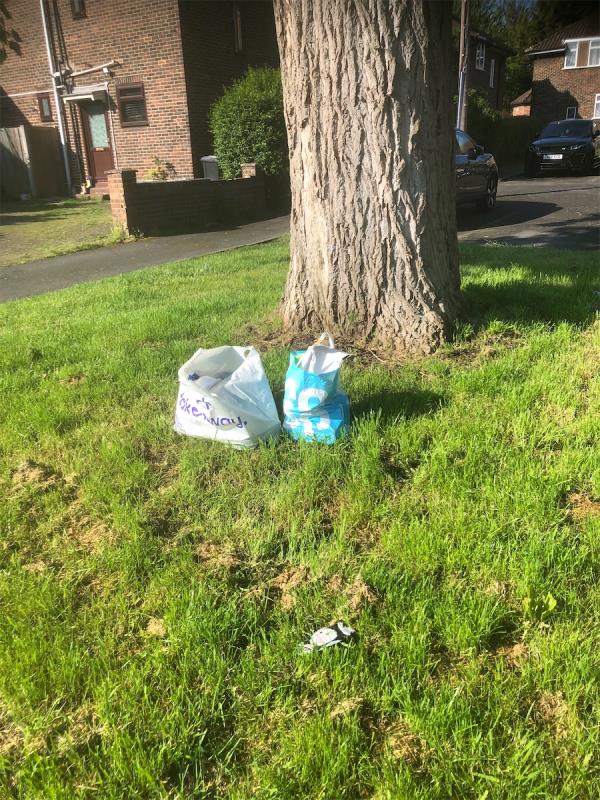 Please clear flytip bags from grass area-224 Brookehowse Road, Bellingham, London, SE6 3TR