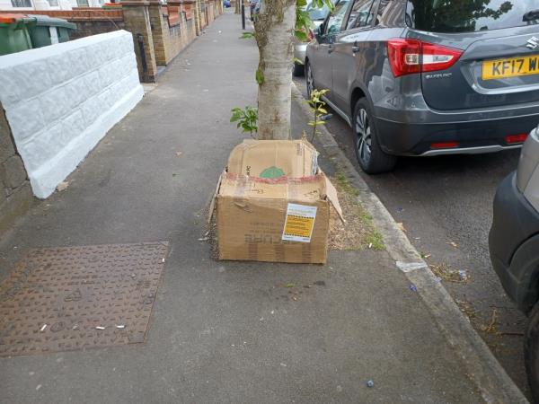Cardboard boxes containing various items of waste fly tipped outside 39 Marlborough Road, E7.-39 Marlborough Road, Forest Gate, London, E7 8HA