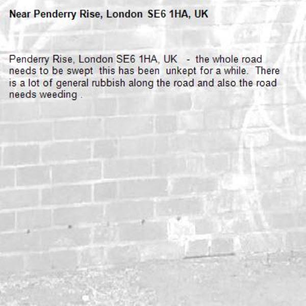 Penderry Rise, London SE6 1HA, UK   -  the whole road needs to be swept  this has been  unkept for a while.  There is a lot of general rubbish along the road and also the road needs weeding .-Penderry Rise, London SE6 1HA, UK