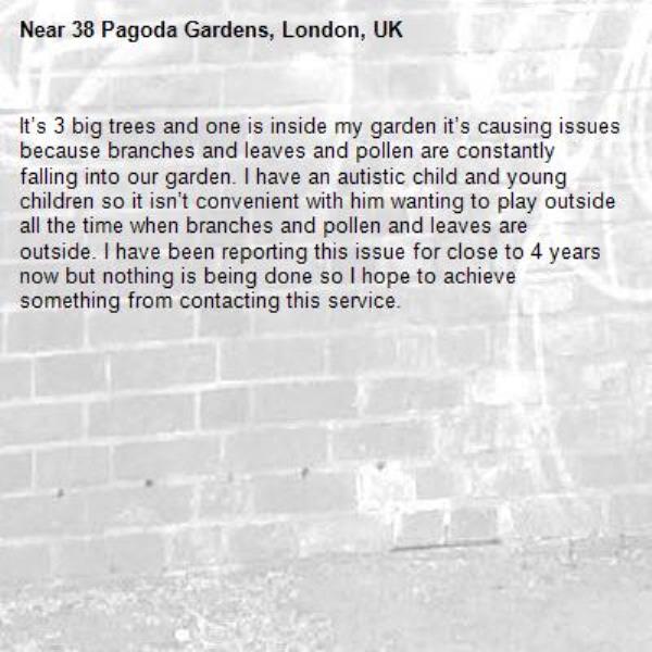It’s 3 big trees and one is inside my garden it’s causing issues because branches and leaves and pollen are constantly falling into our garden. I have an autistic child and young children so it isn’t convenient with him wanting to play outside all the time when branches and pollen and leaves are outside. I have been reporting this issue for close to 4 years now but nothing is being done so I hope to achieve something from contacting this service.  -38 Pagoda Gardens, London, UK