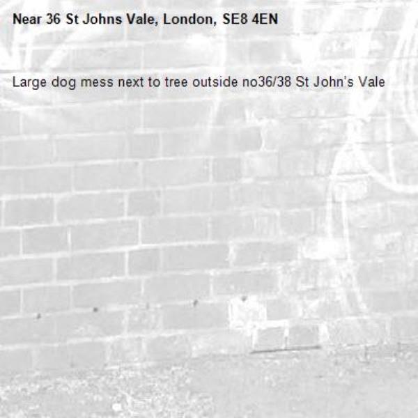 Large dog mess next to tree outside no36/38 St John’s Vale-36 St Johns Vale, London, SE8 4EN