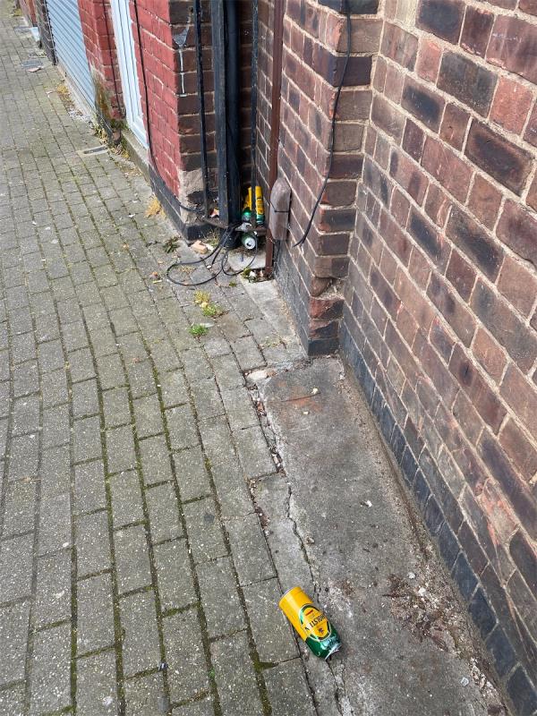 More fly tipping from Indian men drinking publicly being anti social -80 Percival Street, Leicester, LE5 3NQ