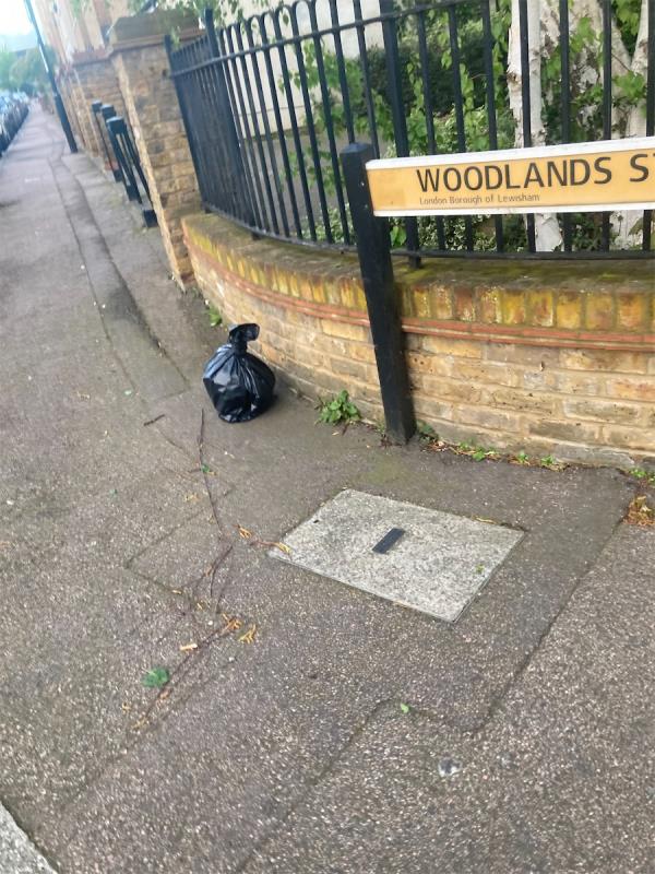 Rubbish -64 Woodlands Street, Hither Green, London, SE13 6TQ