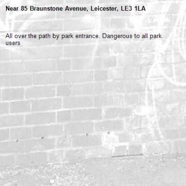 All over the path by park entrance. Dangerous to all park users-85 Braunstone Avenue, Leicester, LE3 1LA